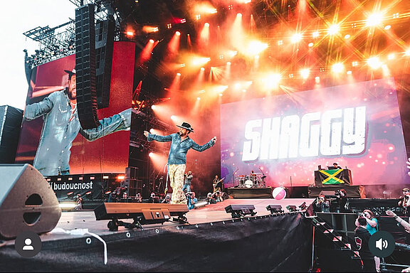 Shaggy_on_Tour.jpg  