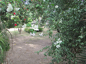 Vorderer, nicht genützter Gartenbereich