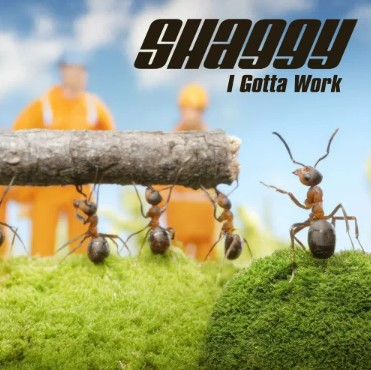 Shaggy_I_gotta_work.jpg  