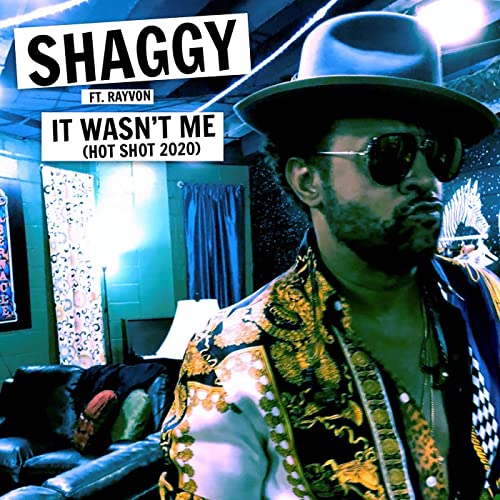 Shaggy_it_wasnt_me.jpg 