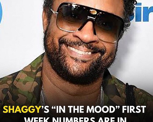 Repost• @worldmusicviews Check my story to see Shaggy’s “In The Mood” first week sales and streaming numbers. 
...