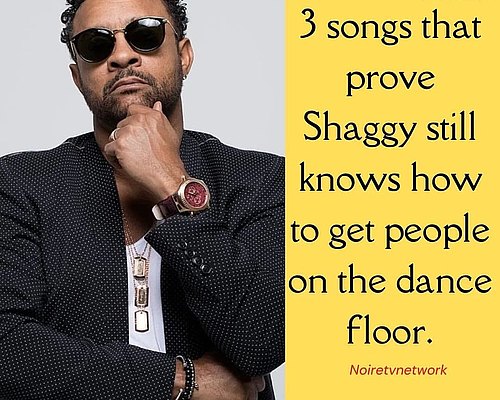 3 Shaggy songs to get you dancing. 

. 
. 

#shaggy #direalshaggy #itwasntme 
#dancing #ididntdoit #dance #shaggy...